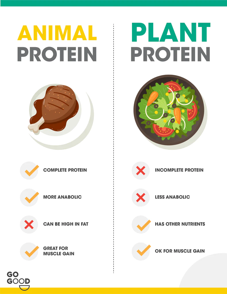 Proteinat Bimore VS Proteinat Shtazore