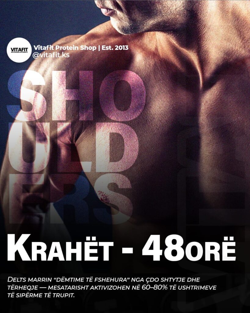 Vitafit - Protein shop ne Kosove