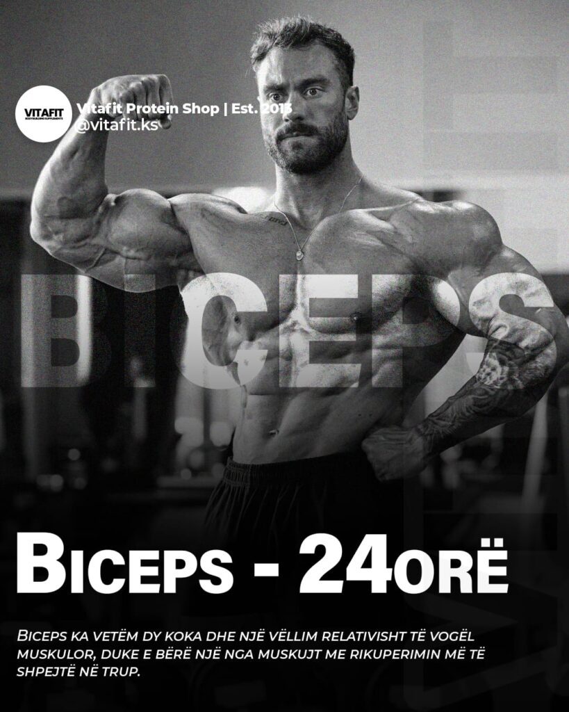 Rikuperimi i Bicepsit