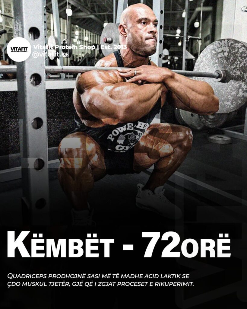 Rikuperimi i kembeve
