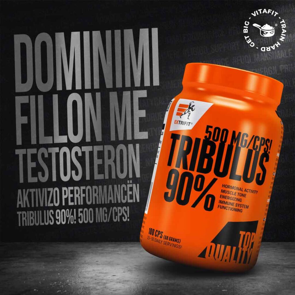 Testosterone Shqip